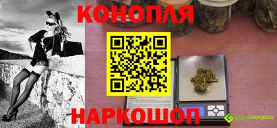 сатива Кулебаки