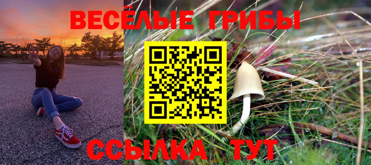 Псилоцибиновые грибы ЛСД Йошкар-Ола