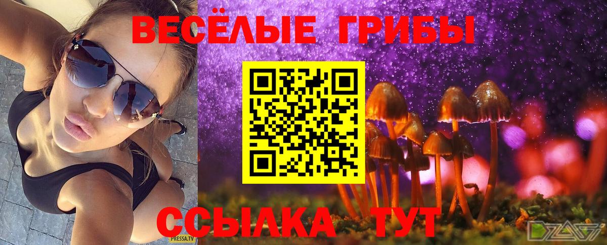 Галлюциногенные грибы мицелий  Вход с VPN  Йошкар-Ола 